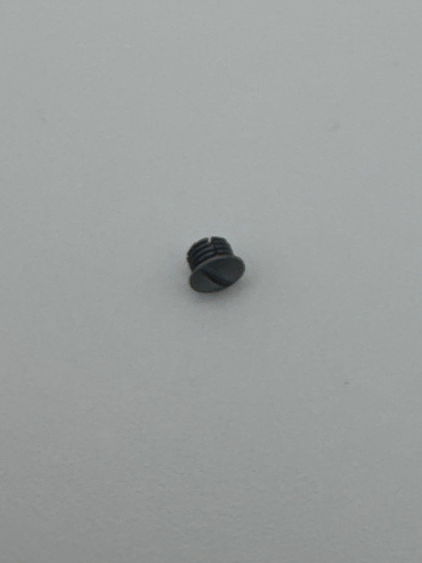 SCREW FOR ROTARY BBN CASE - 317018031