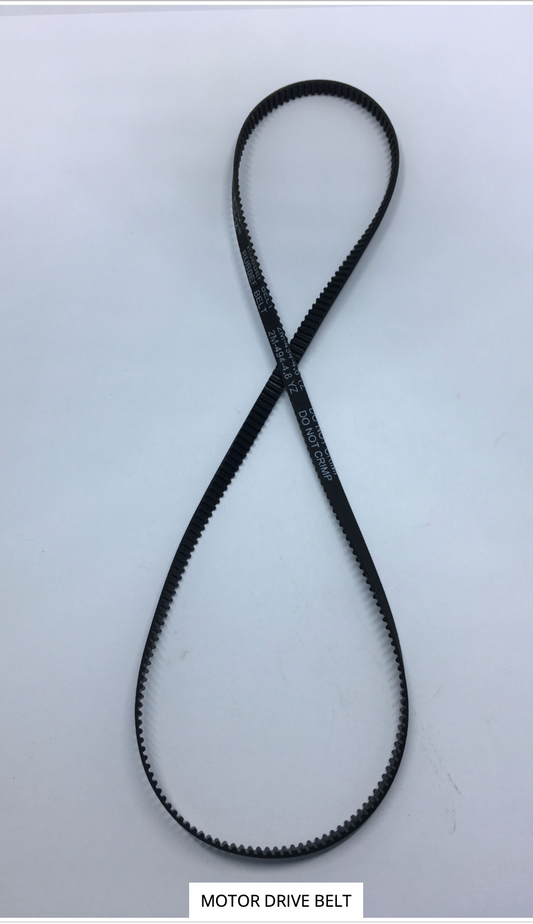 416685701 Belt