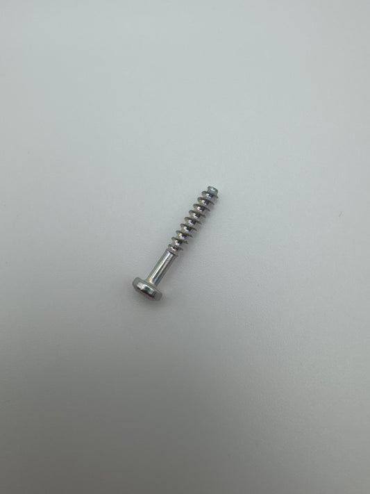S_SCREW PT 30*20 FZB TORX - PN# 411966805